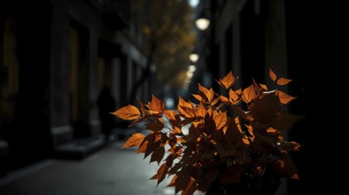 A bouquet of warm autumn leaves stands out in low key lighting, casting deep shadows along a serene
