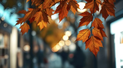 Bright autumn leaves hang gracefully, warm colors surround charming street, blurred lights create
