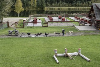 Sled dog station, Fairbanks, Alaska, USA