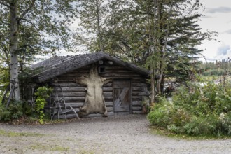 Bearskin on a cabin, Fairbanks, Alaska, USA