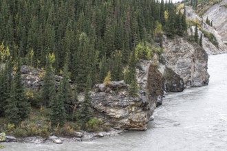 Autumn landscape on the Nenana River, Healy, Alaska, USA