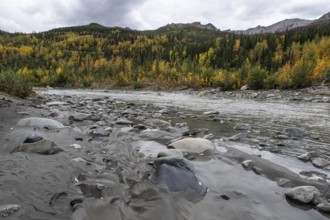 Autumn landscape on the Nenana River, Healy, Alaska, USA
