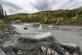 Autumn landscape on the Nenana River, Healy, Alaska, USA