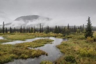 Autumn landscape, Alaska, USA