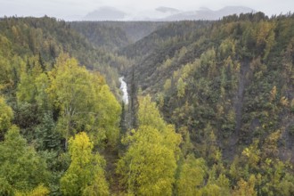 Autumn landscape, Alaska, USA