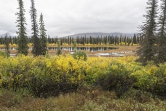 Autumn landscape, Alaska, USA