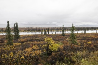 Autumn landscape, Alaska, USA