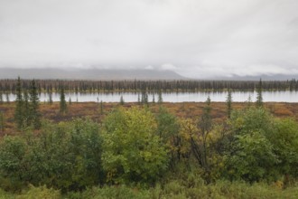 Autumn landscape, Alaska, USA