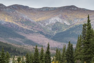 Autumn landscape, Alaska, USA