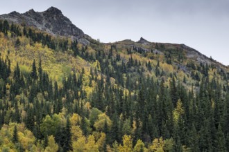Autumn landscape, Alaska, USA