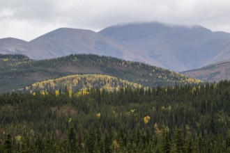 Autumn landscape, Alaska, USA