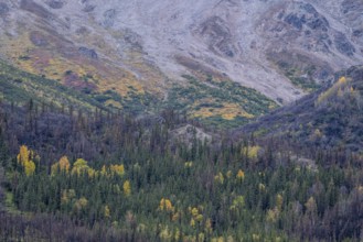 Autumn landscape, Alaska, USA