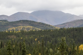Autumn landscape, Alaska, USA