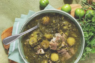 Chakapuli, Georgian dish, stewed meat with herbs and tkemali, in white wine, homemade, no people