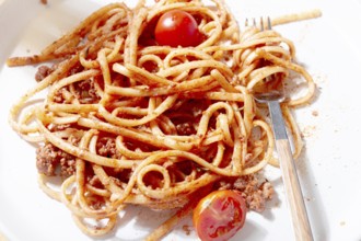 A plate holds freshly cooked spaghetti topped with flavorful meat sauce and garnished with bright