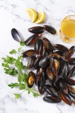 Fresh mussels scattered on the table, with ingredients, lemon and herbs, white wine, top view,