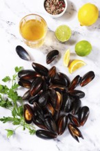 Fresh mussels scattered on the table, with ingredients, lemon and herbs, white wine, top view,