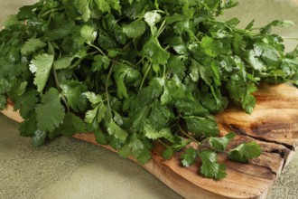 Bright green cilantro leaves are piled on a rustic wooden cutting board, showcasing their vibrant