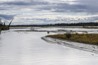 Chena River, Fairbanks, Alaska, USA