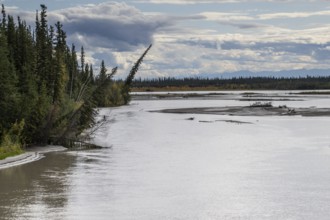 Chena River, Fairbanks, Alaska, USA