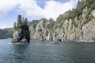 Rocks in the sea, Kenai Fjords National Park, Alaska, USA