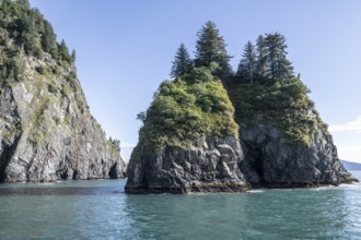 Rocks in the sea, Kenai Fjords National Park, Alaska, USA