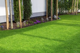 Newly laid turf on a new detached house