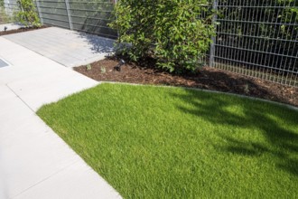 Newly laid turf on a new detached house