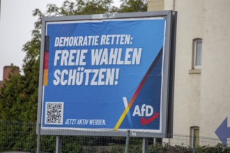 AfD poster in Ludwigshafen with the text DEMOKRATIE RETTEN, FREIE WAHLEN SCHÜTZEN. The city's