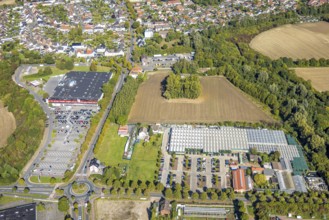 Aerial view, roundabout Sachsring and Münsterstraße, garden centre Bintig GmbH and Kaufland