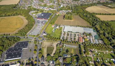 Aerial view, roundabout Sachsring and Münsterstraße, garden centre Bintig GmbH and Kaufland