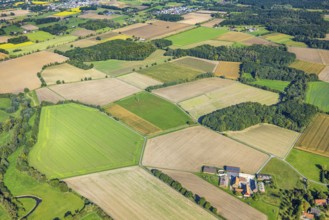 Aerial view, meadows and fields, Vöckinghausen, view to Hamm, district Rhynern, Hamm, Ruhr area,