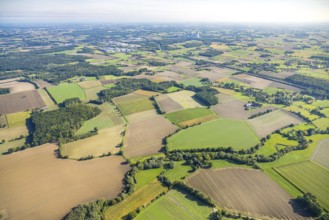 Aerial view, meadows and fields, Vöckinghausen, view to RWE power plant Westfalen, district