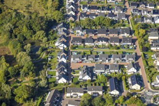 Aerial view, single-family house, new building, residential area Daberg, Albert-Spieker-Weg,