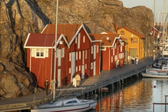 Colourful boathouses and boats in the harbour of Smögen, evening mood, Smögenbryggan, Västra