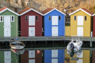 Colourful boathouses and boats in the calm water in front of rocks in the harbour of Smögen,