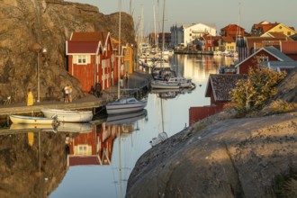 Colourful boathouses and boats in the harbour of Smögen, evening mood, Smögenbryggan, Västra