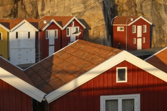 Colourful boathouses between rocks in the harbour of Smögen, Smögenbryggan, Västra Götalands Län,