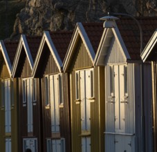Colourful boathouses in the harbour of Smögen, Smögenbryggan, Västra Götalands Län, Bohuslän,