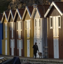 Woman with dog in front of colourful boathouses in the harbour of Smögen, Smögenbryggan, Västra