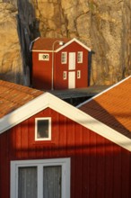 Falun red boathouses between rocks in the harbour of Smögen, Smögenbryggan, Västra Götalands Län,