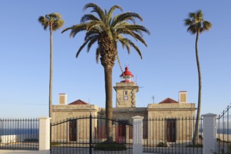 Lighthouse and palm trees, Ponta da Piedade, Lagos, Algarve, Portugal