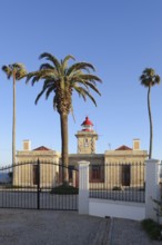 Lighthouse and palm trees, Ponta da Piedade, Lagos, Algarve, Portugal