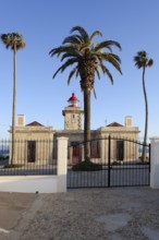 Lighthouse and palm trees, Ponta da Piedade, Lagos, Algarve, Portugal