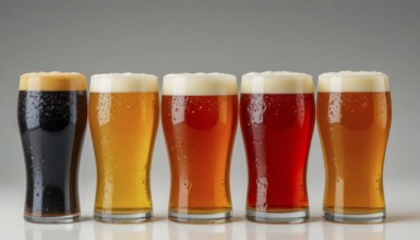 Five different beers are displayed in glasses, showcasing a range of colors and styles, from dark