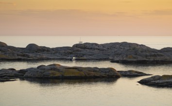 Archipelago landscape at sunset, Smögen, Smögenbryggan, Västra Götalands Län, Bohuslän, Sweden