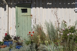 Green wooden door of a weathered house surrounded by a flowering garden, Fjällbacka, Bohuslän, West