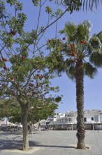 Largo Engenheiro Duarte Pacheco Square, Albufeira, Algarve, Portugal