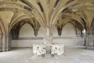 Crypt, St Stephen's Minster, Breisach am Rhein, Baden-Württemberg, Germany