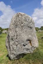 Megalithe, Alignements du Menec, Carnac, Department of Morbihan, Brittany, France